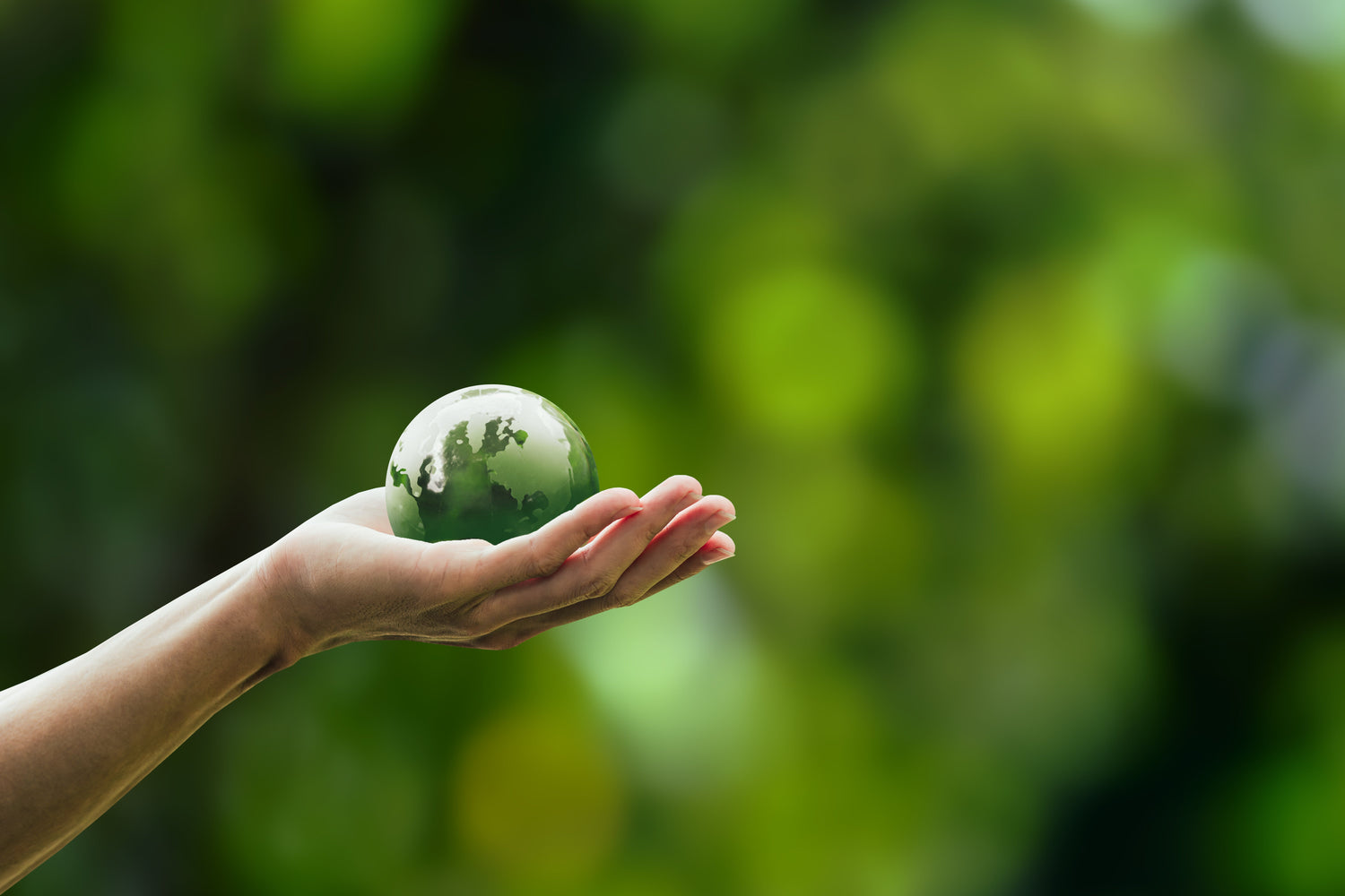 Why Eco-Friendly Rolling Accessories Matter More Than You Think