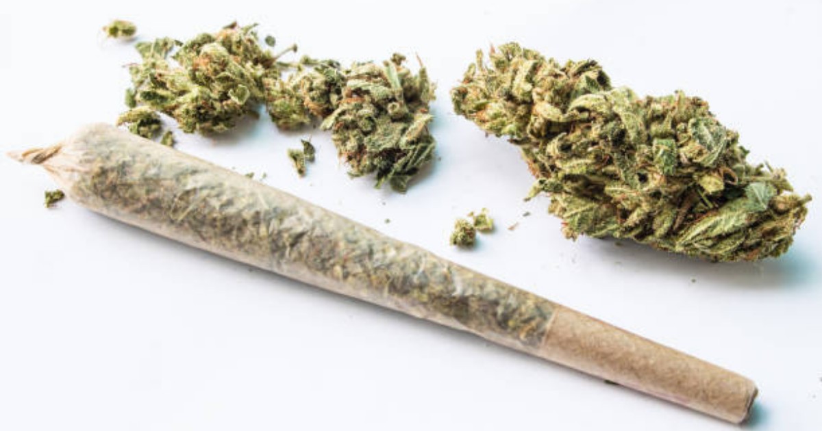 Close-up of a perfectly packed pre-roll cone resting on a tray, ready for an even and slow burn.