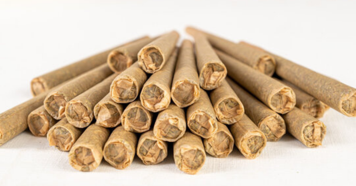 A smoldering pre-roll cone with an even ash line burning slowly and cleanly on a rolling tray.