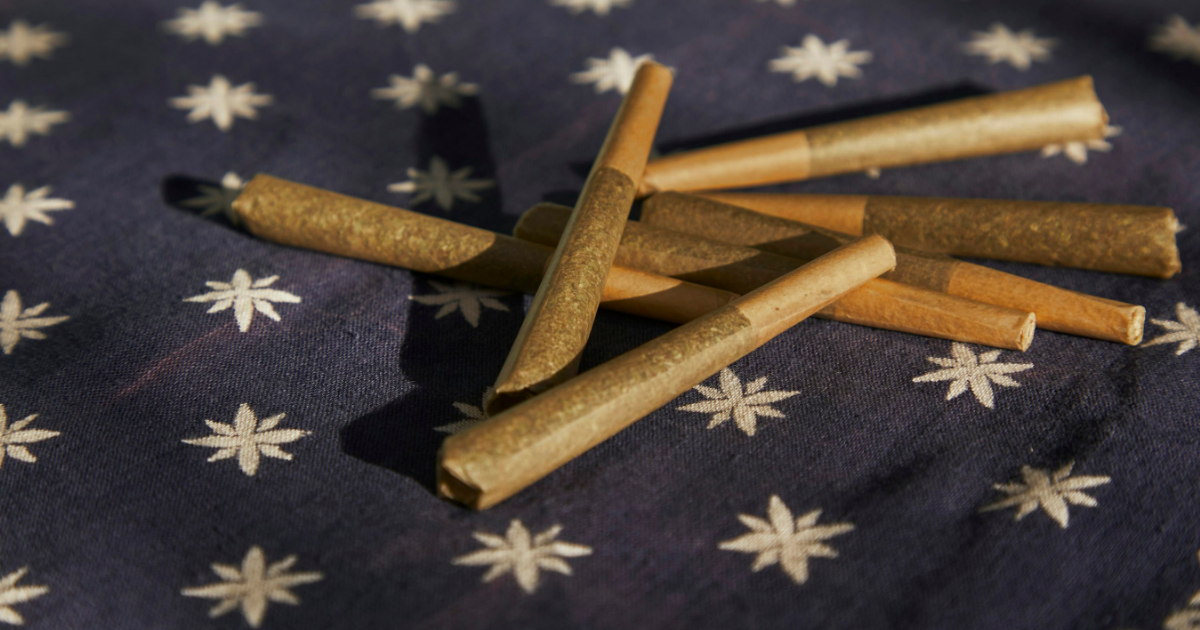 A set of pre-rolled cones stored inside a compact, hard-shell travel case with labeled slots and airtight seals.