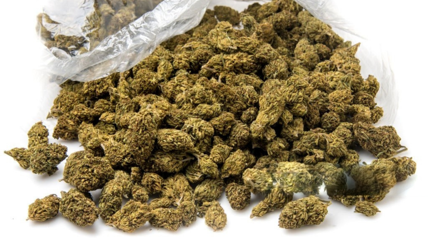 Image showing the steps before having to grind a weed without a grinder.