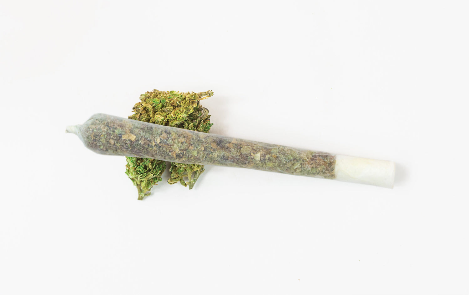 Single pre-rolled cone with visible filter tip placed on top of loose herbal material