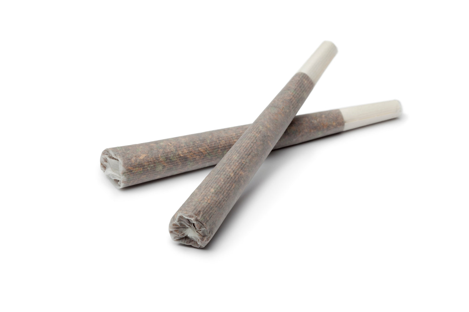 Two leftover pre-rolled cones placed diagonally on a white background, ready for storage