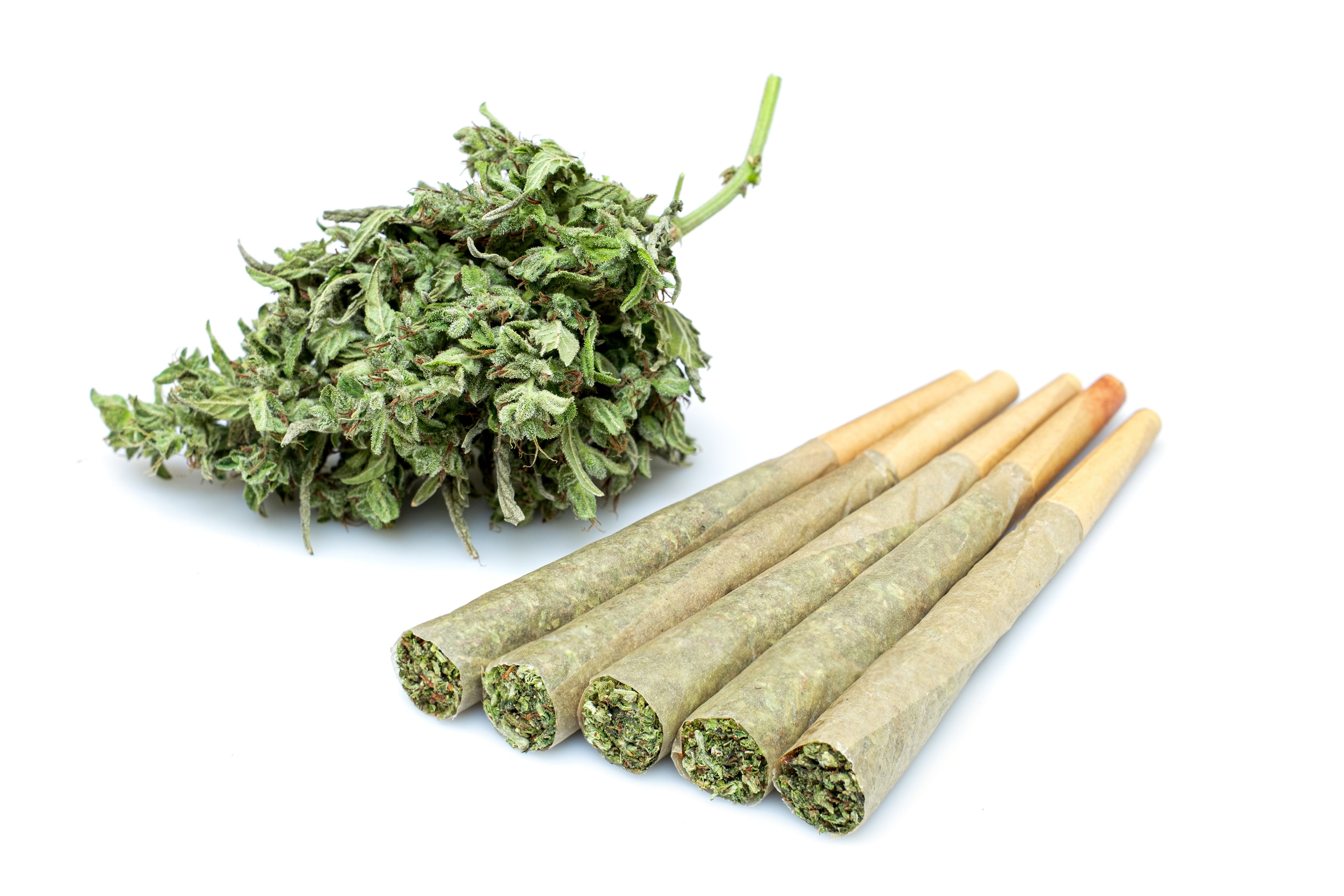 What Are Pre-Rolled Cones Used For? Your Ultimate Guide