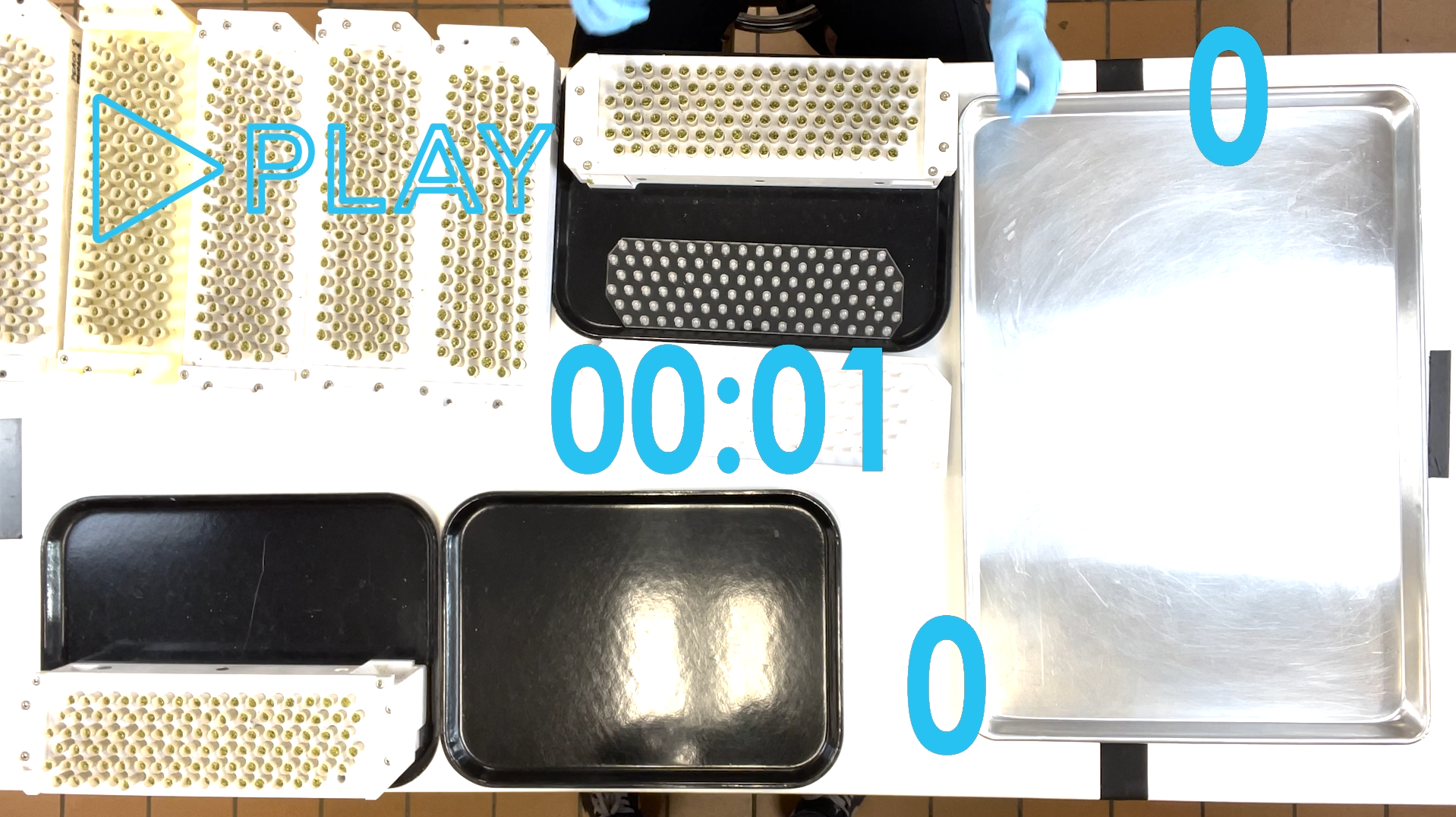 Futurola Knockbox pre-roll production setup, efficiently filling multiple cones for high-volume rolling.