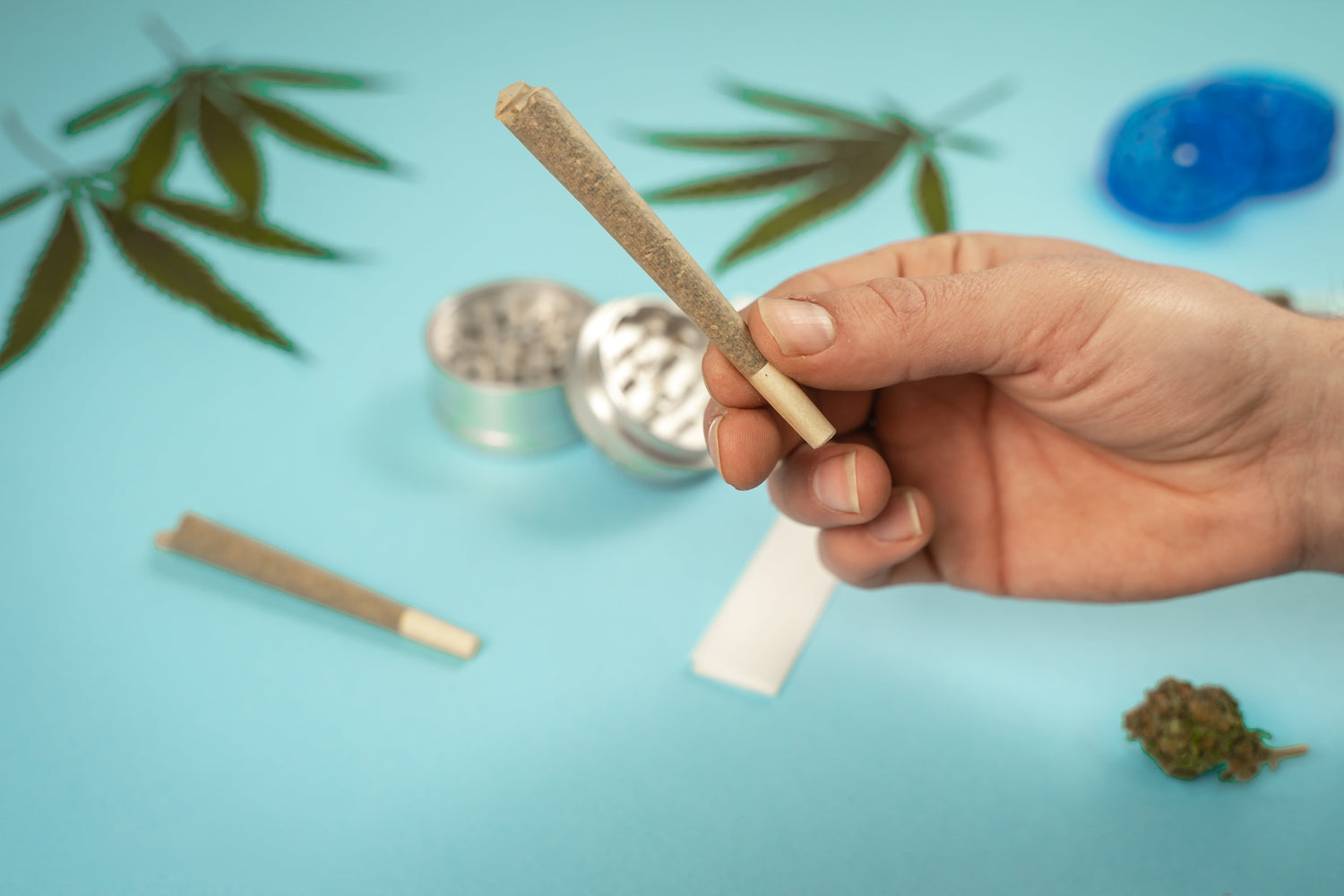 Best Cone Roller Size for Personal Use